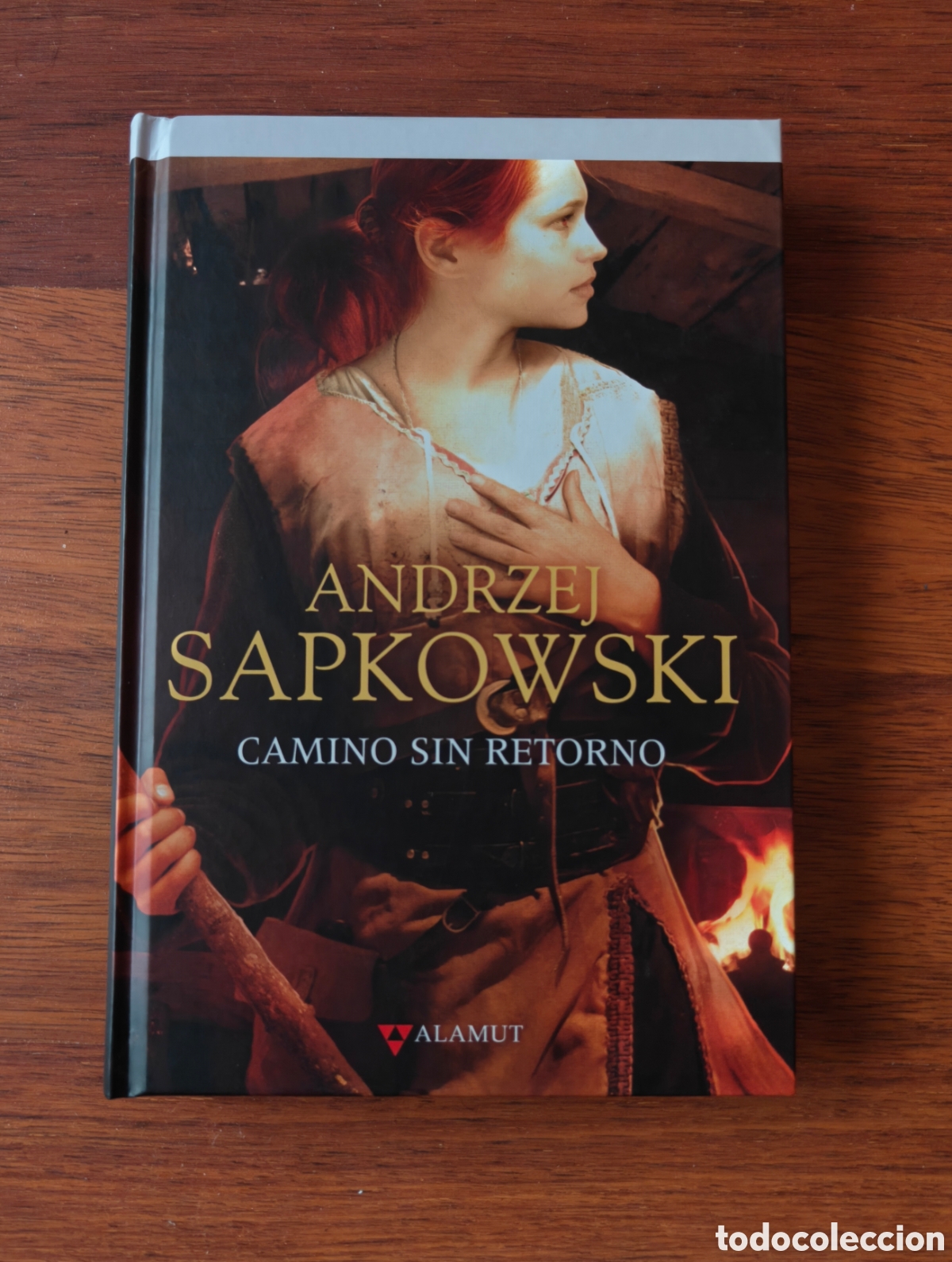 Libros de segunda mano: Camino sin retorno. Geralt de Rivia. The Witcher. Andrzej Sapkowski. Editorial Alamut.