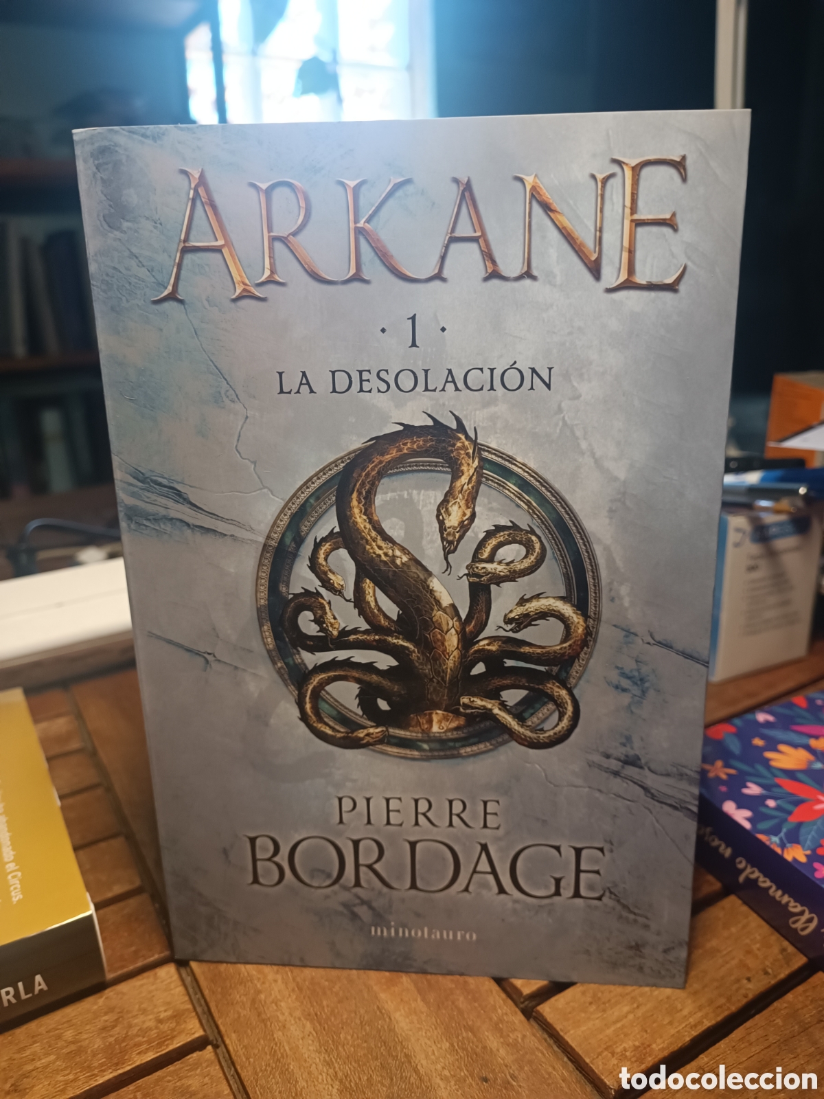 Libros de segunda mano: Arkane 1 la desolaci&oacute;n Pierre bordage minotauro 2024