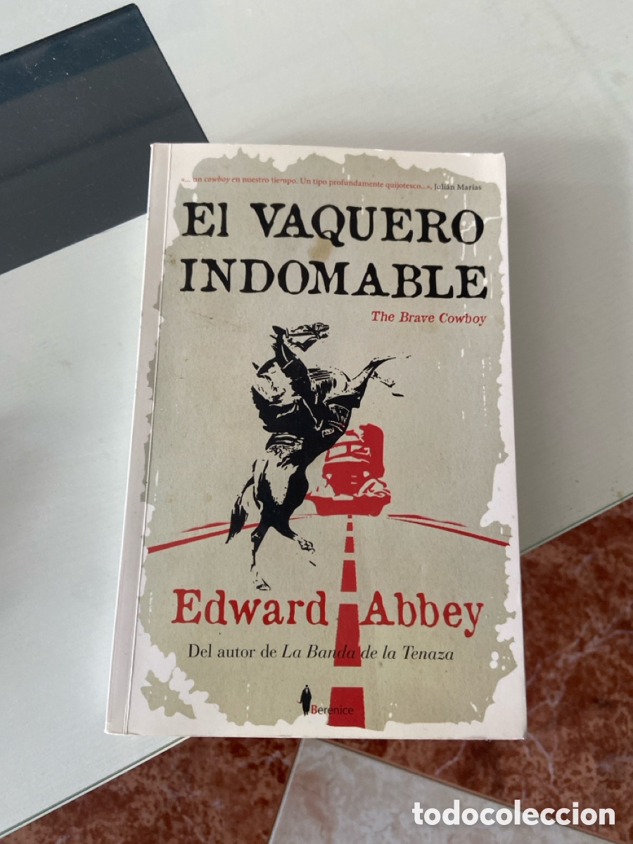 Libros de segunda mano: El vaquero indomable