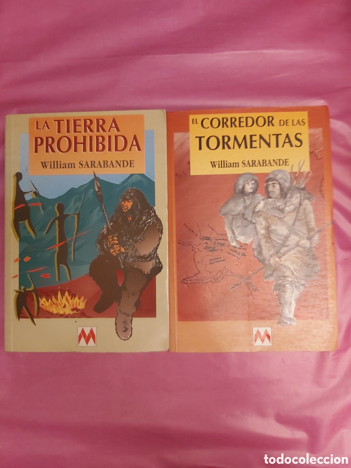 Libros de segunda mano: LA TIERRA PROHIBIDA EL CORREDOR DE LAS TORMENTAS WILLIAM SARABANDE MAEVA PRIMERA EDICI&Oacute;N 1995