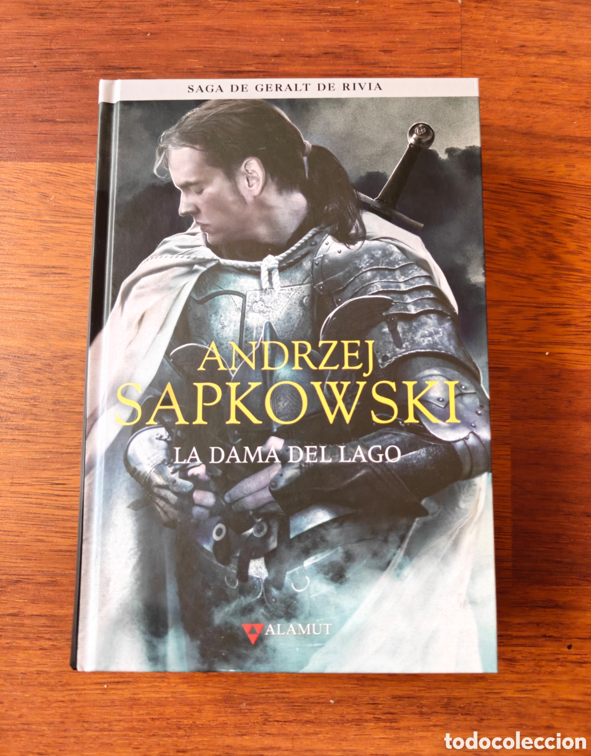 Libros de segunda mano: La dama del lago. Geralt de Rivia. The Witcher. Andrzej Sapkowski. Editorial Alamut.