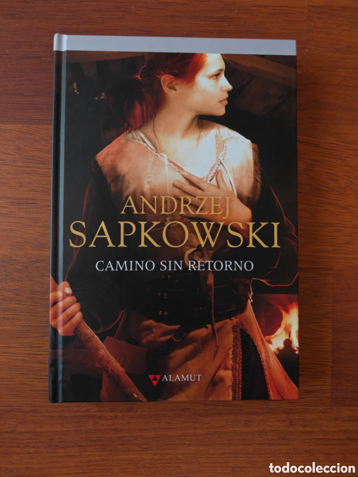 Libros de segunda mano: Camino sin retorno. Geralt de Rivia. The Witcher. Andrzej Sapkowski. Editorial Alamut.