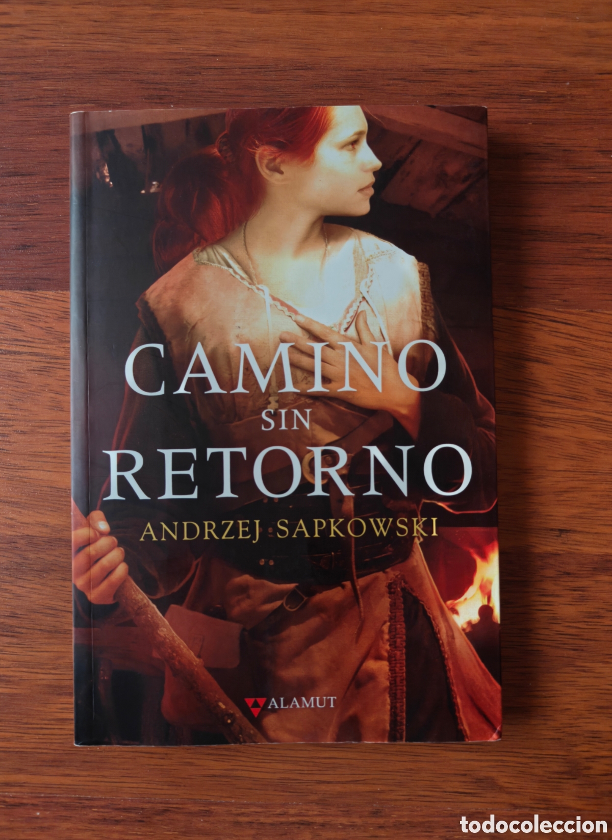Libros de segunda mano: Camino sin retorno. Geralt de Rivia. The Witcher. Andrzej Sapkowski. Editorial Alamut.