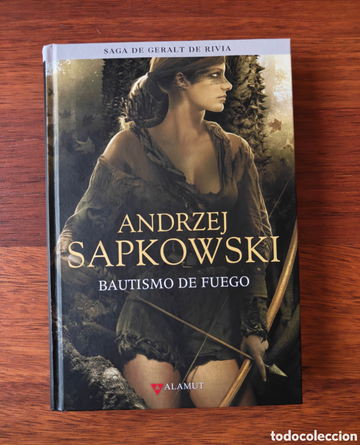 Libros de segunda mano: Bautismo de fuego. Geralt de Rivia. The Witcher. Andrzej Sapkowski. Editorial Alamut.