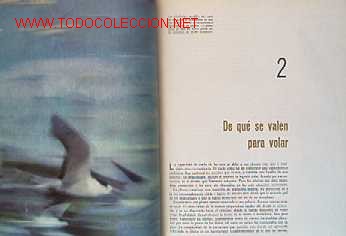 Libros de segunda mano:   - Foto 4