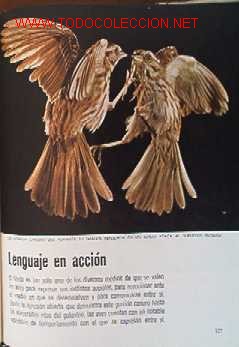 Libros de segunda mano:   - Foto 5
