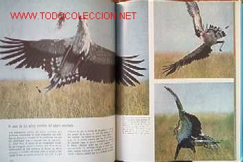Libros de segunda mano:   - Foto 6