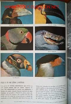 Libros de segunda mano:   - Foto 7