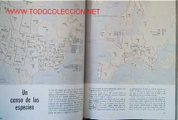 Libros de segunda mano:   - Foto 8