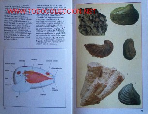 Libros de segunda mano:   - Foto 2