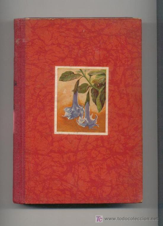 Libros de segunda mano: LA   MARAVILLOSA   VIDA   DE   LAS   PLANTAS-1946- - Foto 1
