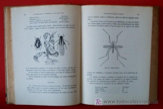 Libros de segunda mano: MANUAL DE HORTICULTURA - Foto 6