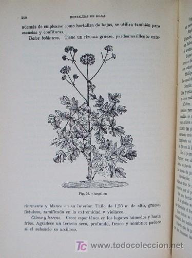Libros de segunda mano: MANUAL DE HORTICULTURA - Foto 7