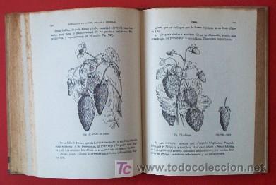 Libros de segunda mano: MANUAL DE HORTICULTURA - Foto 8