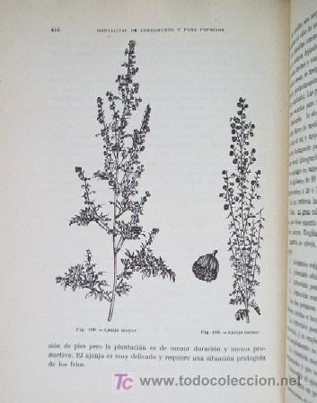 Libros de segunda mano: MANUAL DE HORTICULTURA - Foto 9