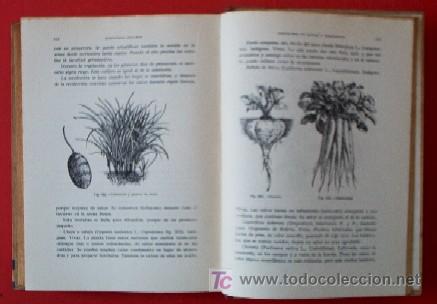 Libros de segunda mano: MANUAL DE HORTICULTURA - Foto 10