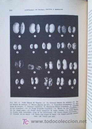 Libros de segunda mano: MANUAL DE HORTICULTURA - Foto 11