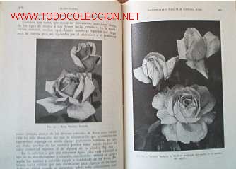 Libros de segunda mano:   - Foto 3