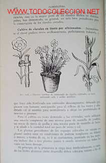 Libros de segunda mano:   - Foto 9