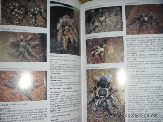 Libros de segunda mano: La enciclopedia del terrario (Libsa) - Foto 4