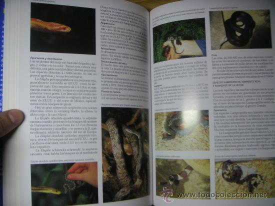 Libros de segunda mano: La enciclopedia del terrario (Libsa) - Foto 5