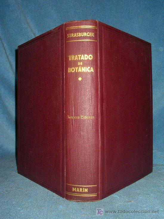 Libros de segunda mano: TRATADO DE BOTANICA - EDUARDO STRASBURGER - BELLOS GRABADOS. - Foto 1