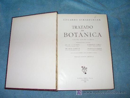 Libros de segunda mano: TRATADO DE BOTANICA - EDUARDO STRASBURGER - BELLOS GRABADOS. - Foto 2