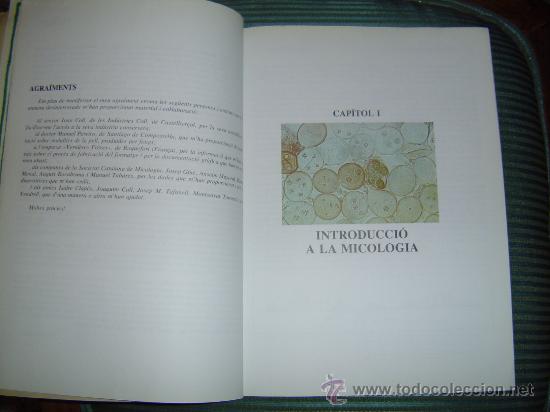 Libros de segunda mano: El Llibre dels Bolets. - Foto 2