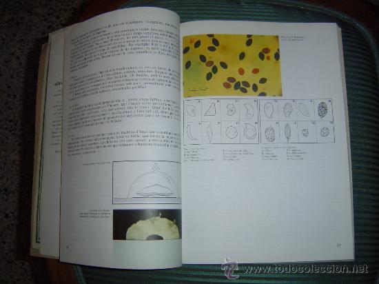 Libros de segunda mano: El Llibre dels Bolets. - Foto 3