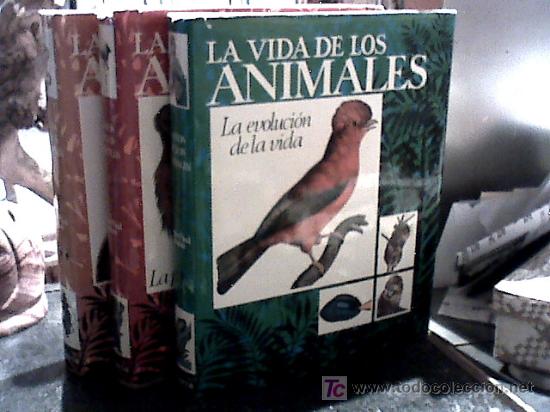 Libros de segunda mano: la vida de los animales (tres volumenes, 1970) - Foto 1