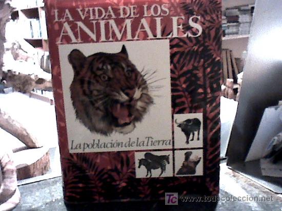 Libros de segunda mano: la vida de los animales (tres volumenes, 1970) - Foto 7