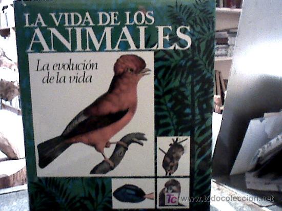 Libros de segunda mano: la vida de los animales (tres volumenes, 1970) - Foto 6