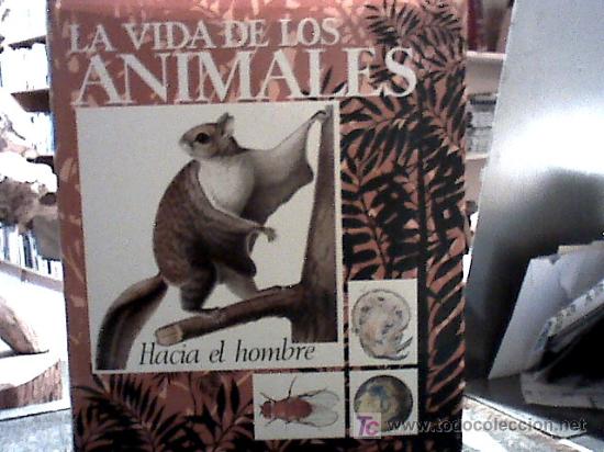 Libros de segunda mano: la vida de los animales (tres volumenes, 1970) - Foto 5