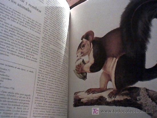 Libros de segunda mano: la vida de los animales (tres volumenes, 1970) - Foto 4