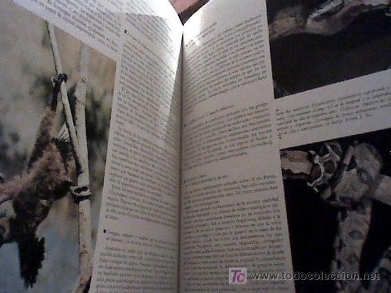 Libros de segunda mano: la vida de los animales (tres volumenes, 1970) - Foto 3
