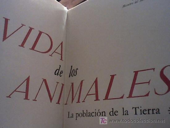 Libros de segunda mano: la vida de los animales (tres volumenes, 1970) - Foto 2
