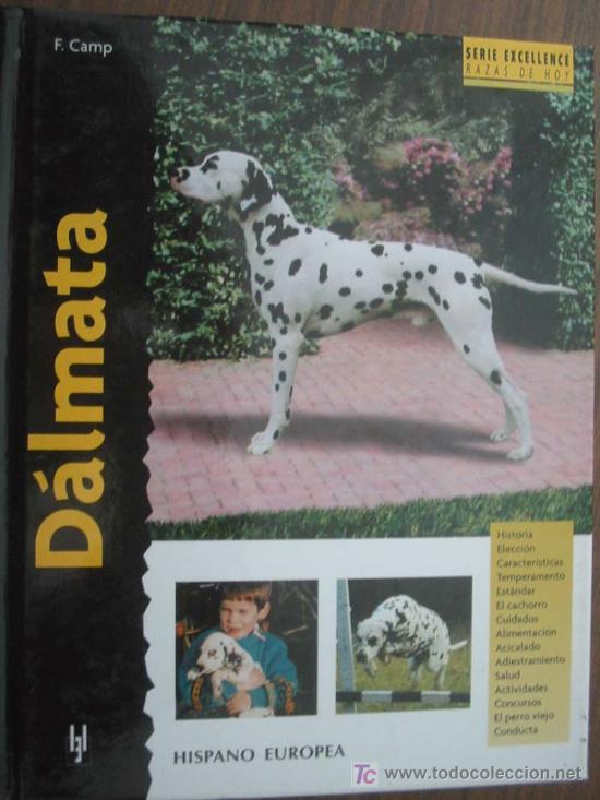 Libros de segunda mano: D&Aacute;LMATA. CAMP, F. 2007. Hispano europea - Foto 1
