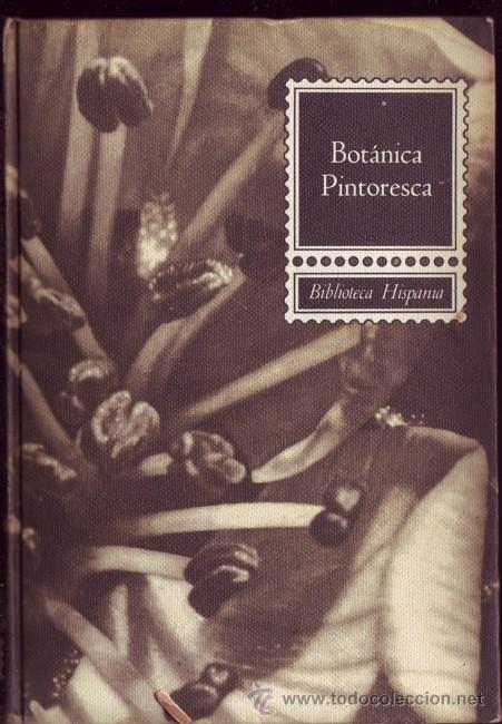 Libros de segunda mano: Bot&aacute;nica pintoresca. Font Quer. - Foto 1
