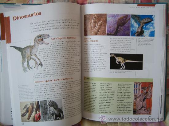 Libros de segunda mano: CIENCIAS DE LA TIERRA Y DEL UNIVERSO - Foto 11