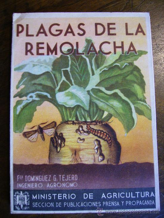 Libros de segunda mano: plagas de la remolacha 1943 113pgs - Foto 1