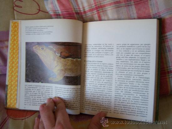 Libros de segunda mano: LA EVOLUCI&Oacute;N DE LAS ESPECIES - Foto 5