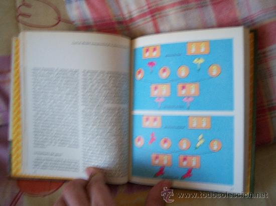 Libros de segunda mano: LA EVOLUCI&Oacute;N DE LAS ESPECIES - Foto 6