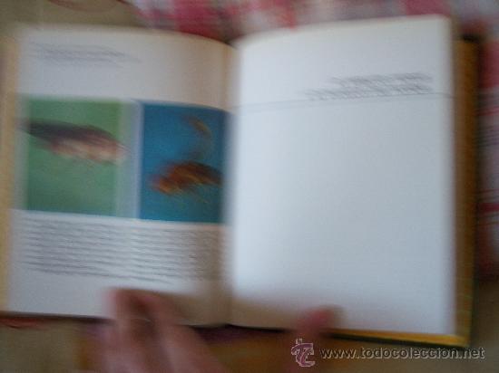 Libros de segunda mano: LA EVOLUCI&Oacute;N DE LAS ESPECIES - Foto 7