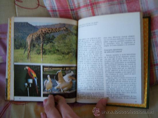 Libros de segunda mano: LA EVOLUCI&Oacute;N DE LAS ESPECIES - Foto 8