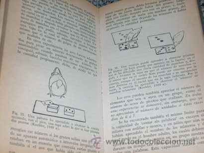 Libros de segunda mano: LA CONDUCTA DE LOS ANIMALES, por Eric Fabricius - EUDEBA - Argentina - 1966 - Foto 2