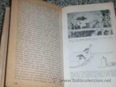 Libros de segunda mano: LA CONDUCTA DE LOS ANIMALES, por Eric Fabricius - EUDEBA - Argentina - 1966 - Foto 3