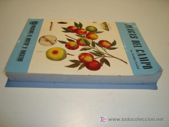 Libros de segunda mano: PLAGAS DEL CAMPO POR SILVERIO PLANES. SEXTA EDICION (1963) - Foto 6