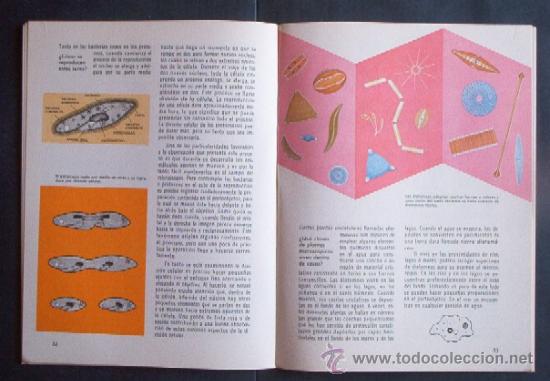 Libros de segunda mano de ciencias: EL MICROSCOPIO - COMO Y POR QUE - Foto 5