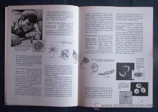 Libros de segunda mano de ciencias: EL MICROSCOPIO - COMO Y POR QUE - Foto 6