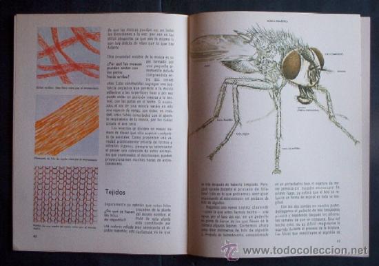 Libros de segunda mano de ciencias: EL MICROSCOPIO - COMO Y POR QUE - Foto 7